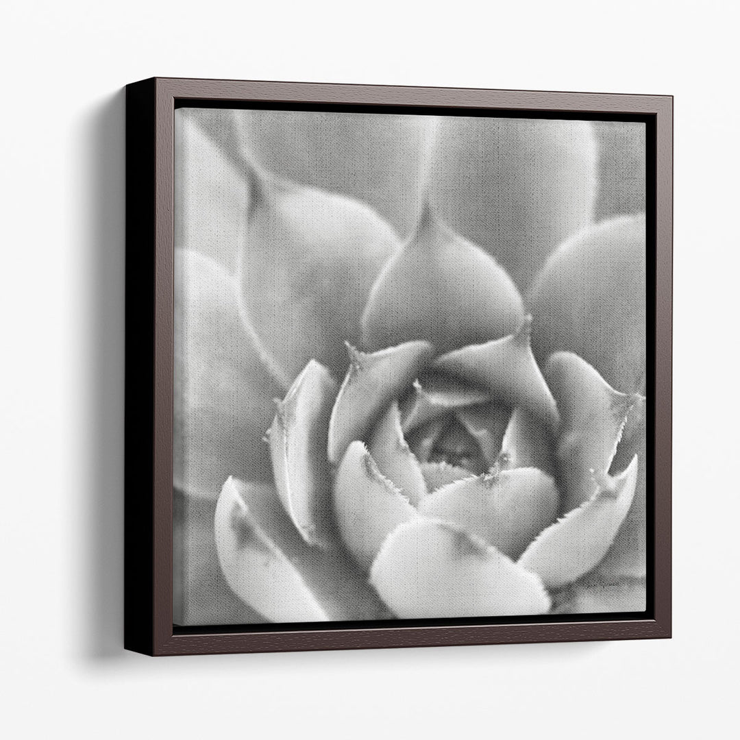 succulent photography wall art Garden Succulent III Art Print