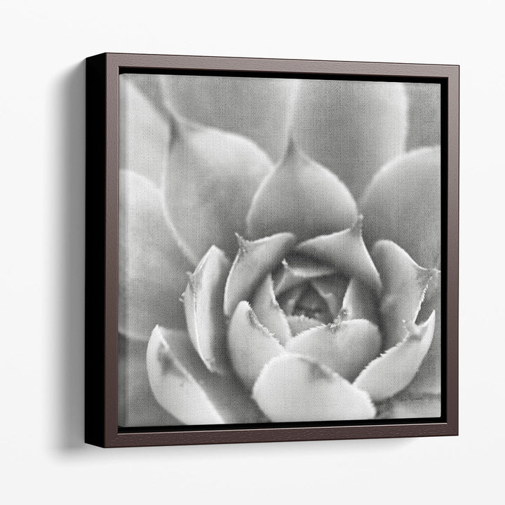 Garden Succulent III - Canvas Print Wall Art