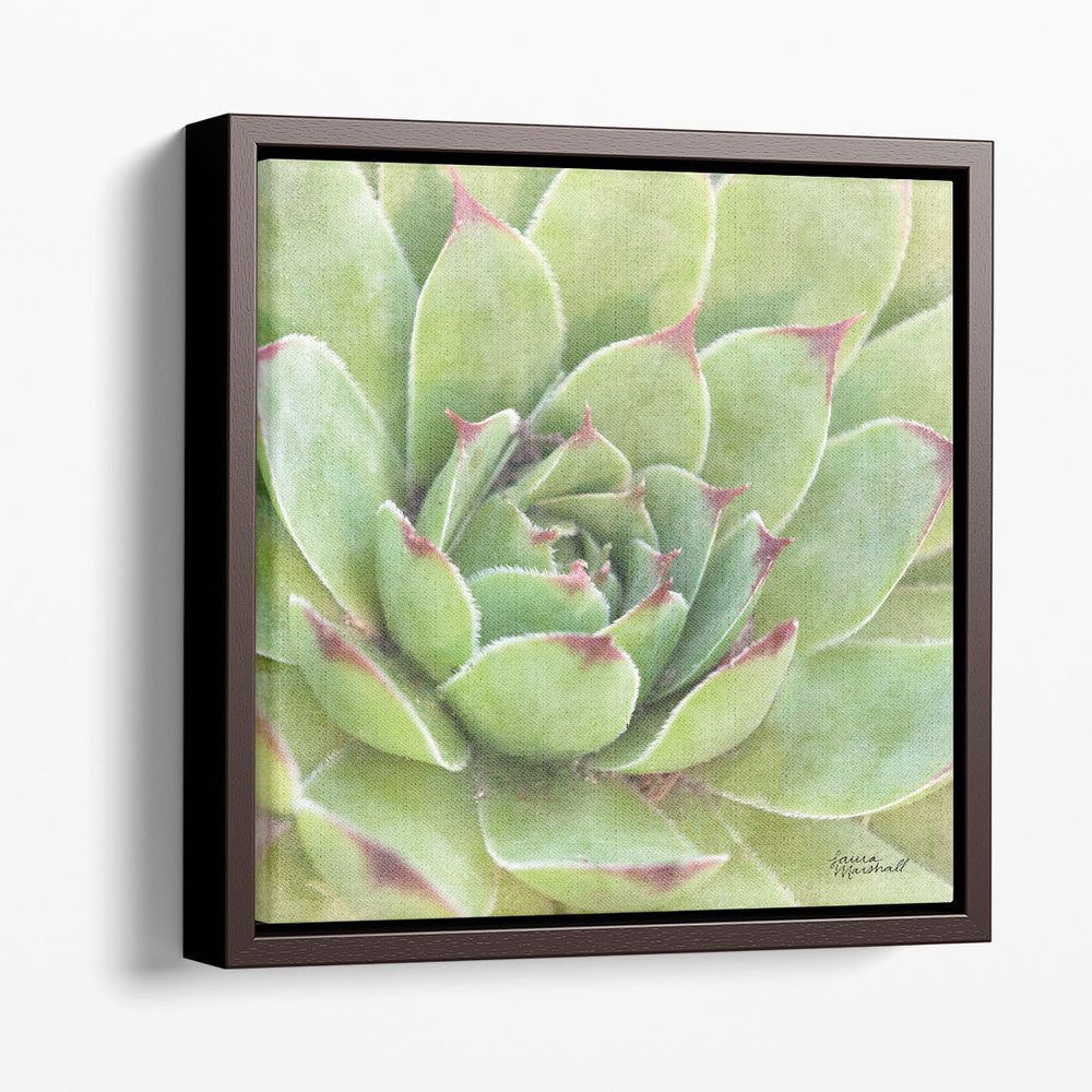 Garden Succulents IV - Canvas Print Wall Art