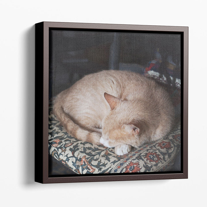 Sleepy Afternoon - Canvas Print Wall Art