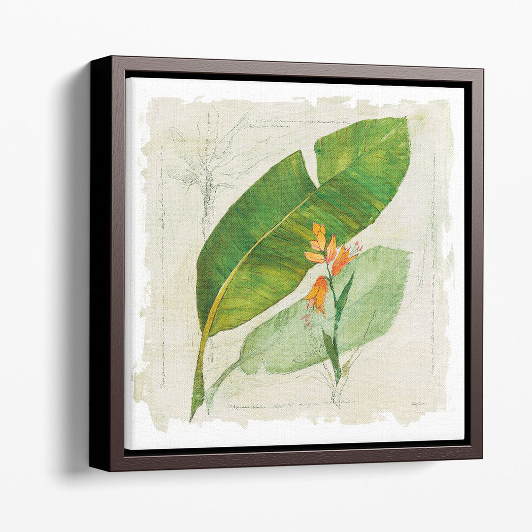 Botanical Study I - Canvas Print Wall Art