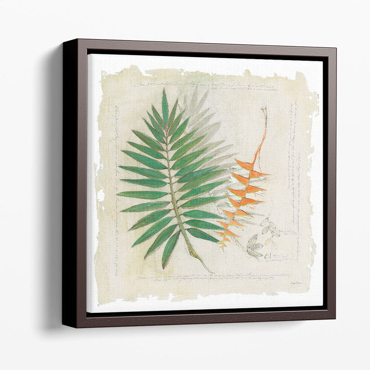 Botanical Study II - Canvas Print Wall Art