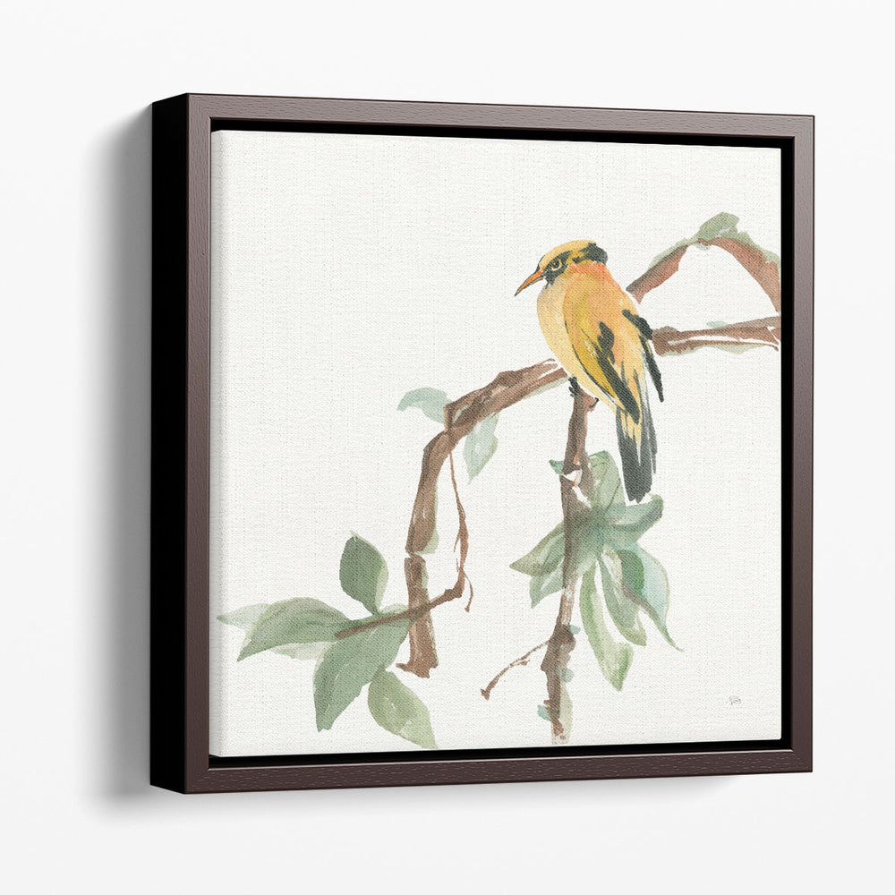 Black Napped Oriole - Canvas Print Wall Art