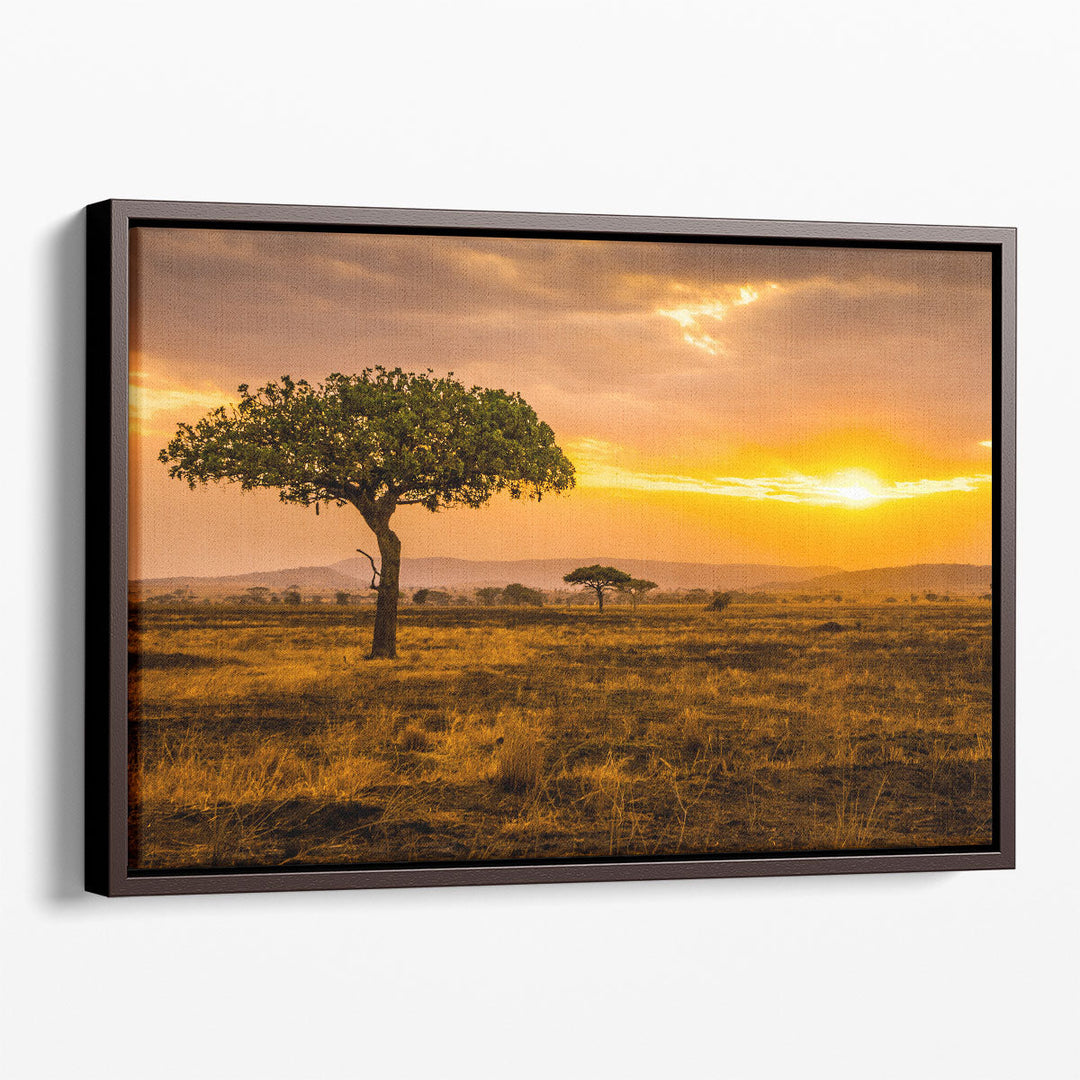 Sunset at Serengeti Park, Africa - Canvas Print Wall Art