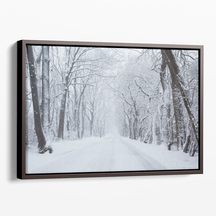 Going Home Black and White - Canvas Print Wall Art