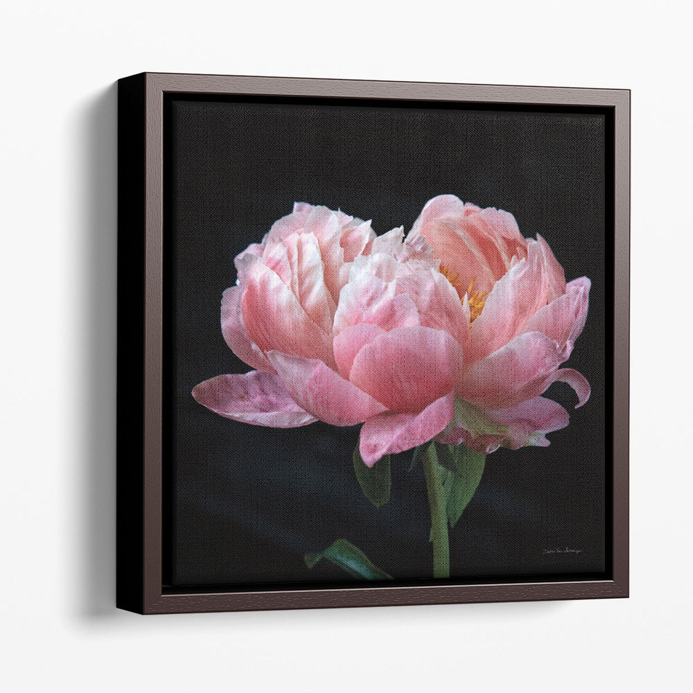 Coral Peonies IV - Canvas Print Wall Art