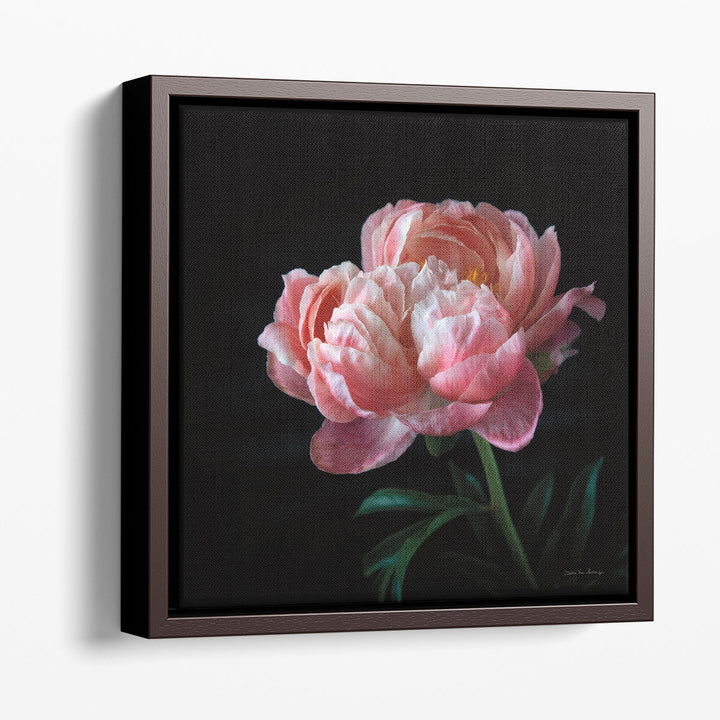 Coral Peonies V - Canvas Print Wall Art