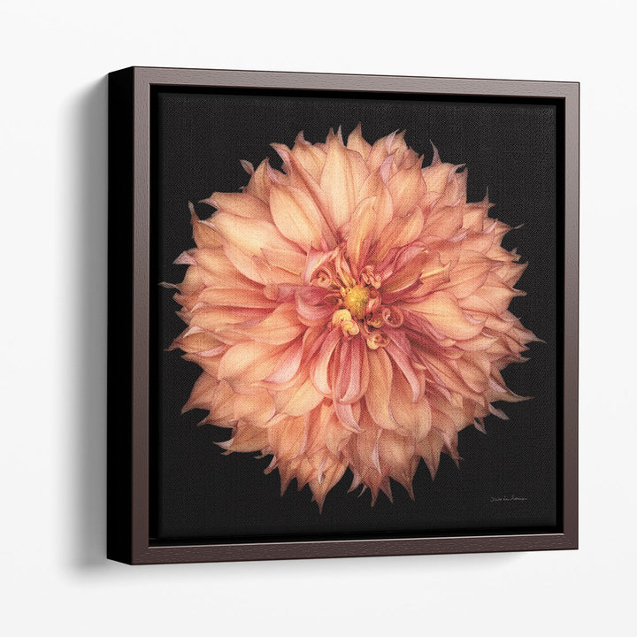 Dahlia I - Canvas Print Wall Art