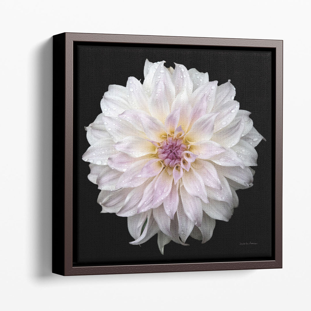 Dahlia IV - Canvas Print Wall Art