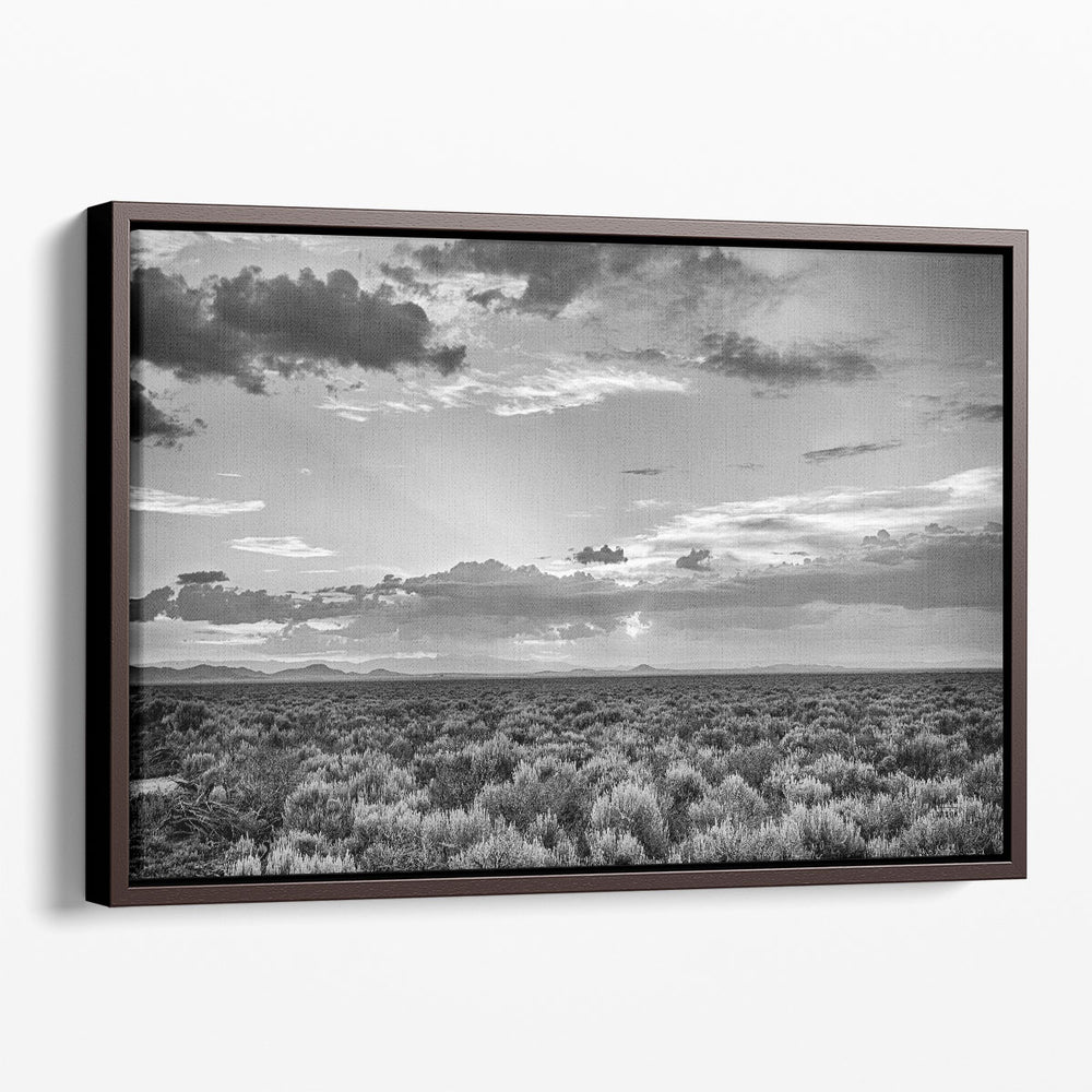 American Sage - Canvas Print Wall Art