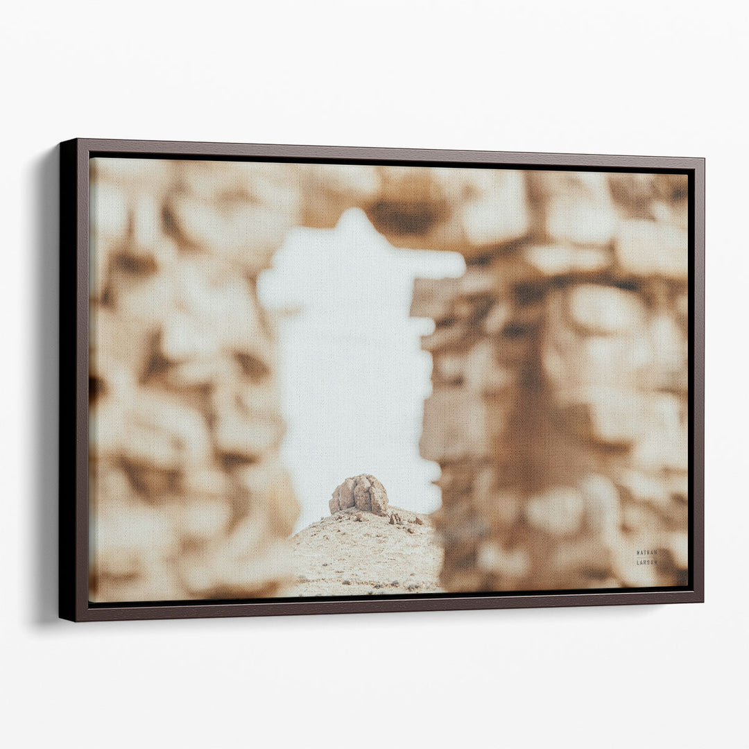 Through Ruins - Canvas Print Wall Art