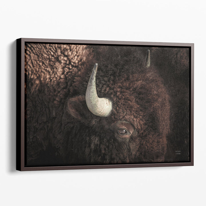 Bison - Canvas Print Wall Art