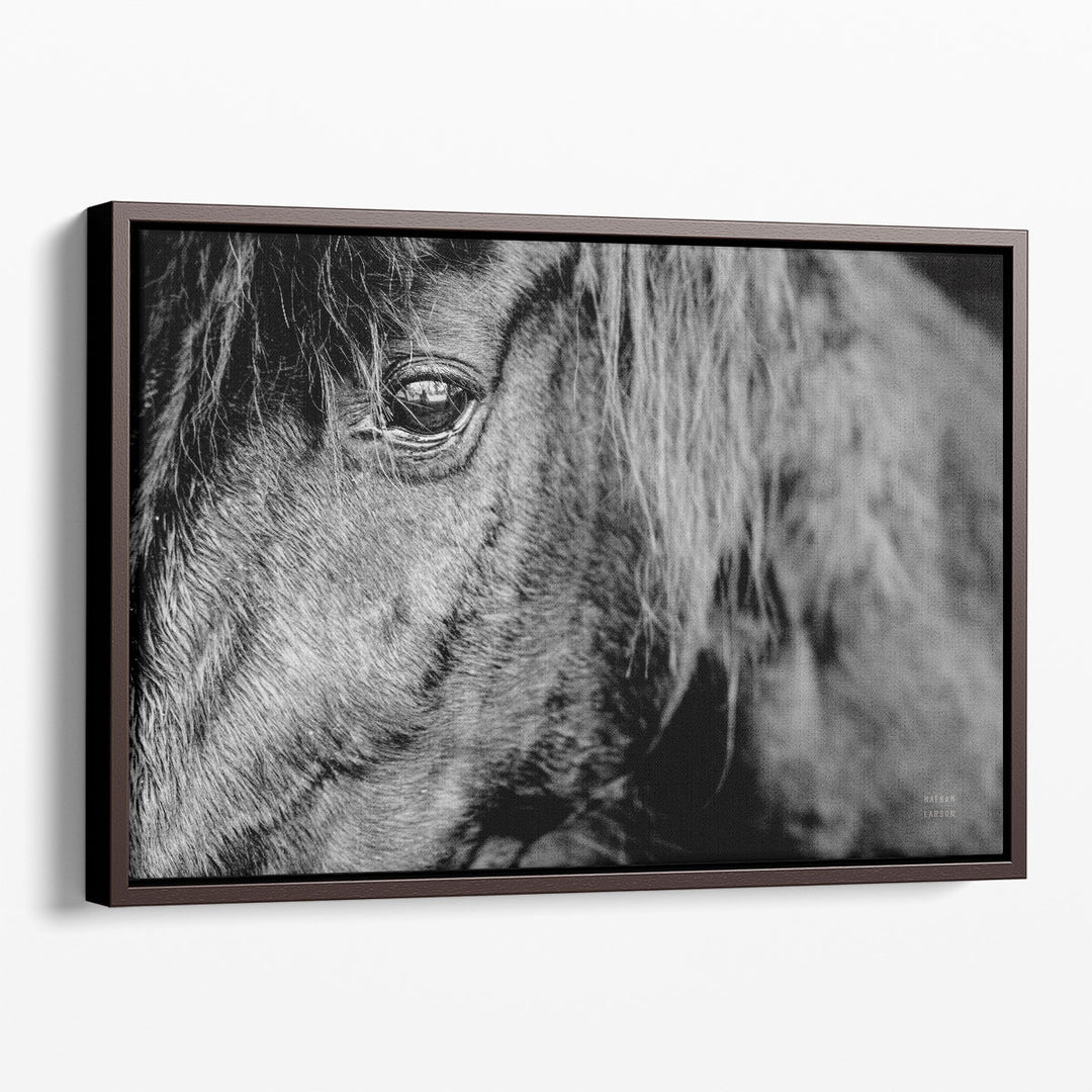 Mustang - Canvas Print Wall Art