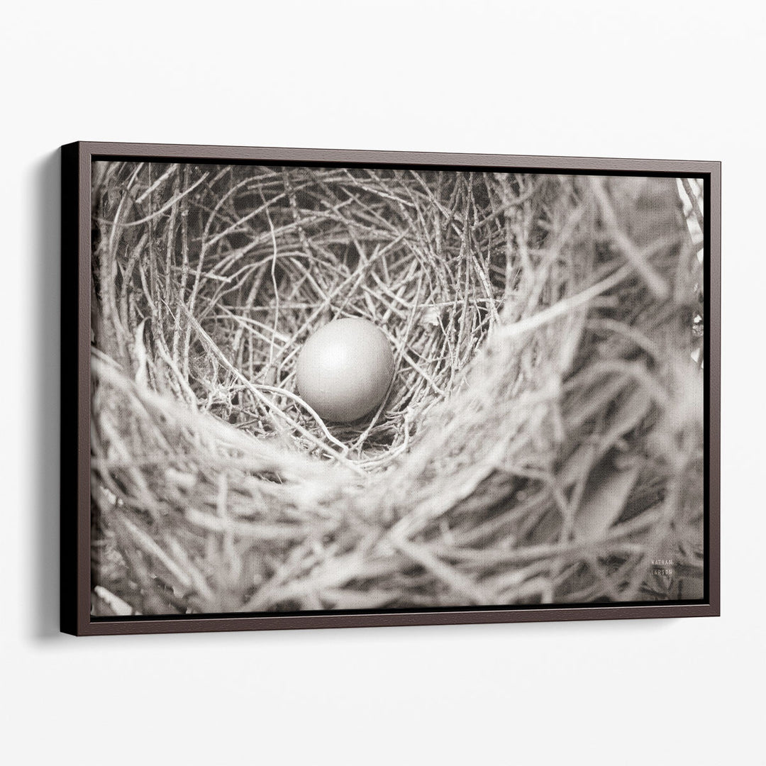 Nesting - Canvas Print Wall Art