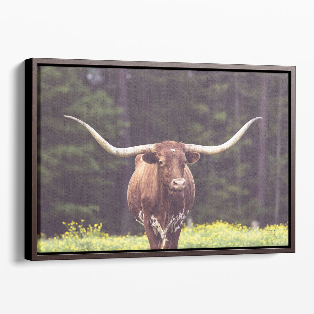 Longhorn Flowers - Canvas Print Wall Art