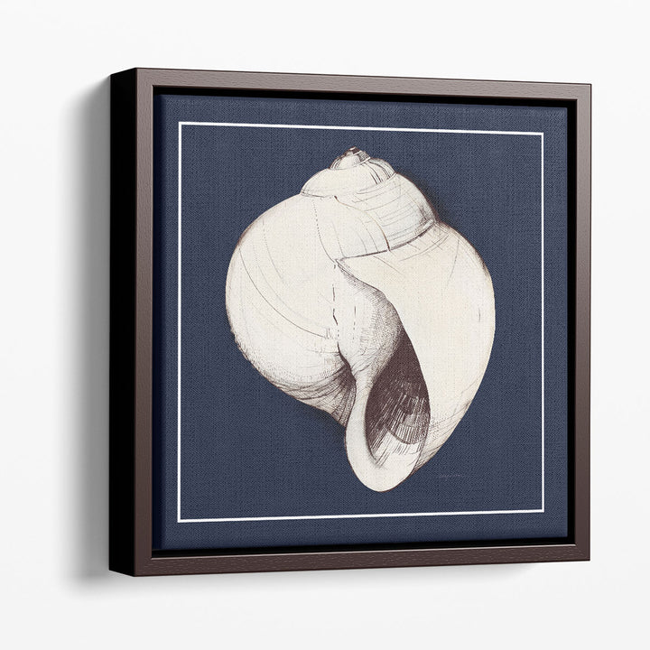 Coastal Shell I with Border Navy - Canvas Print Wall Art