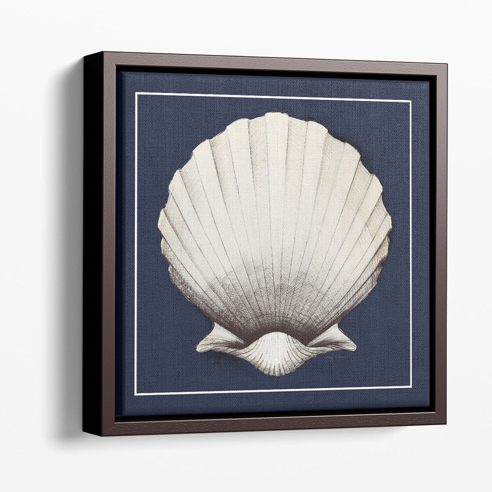 Coastal Shell II with Border Navy - Canvas Print Wall Art