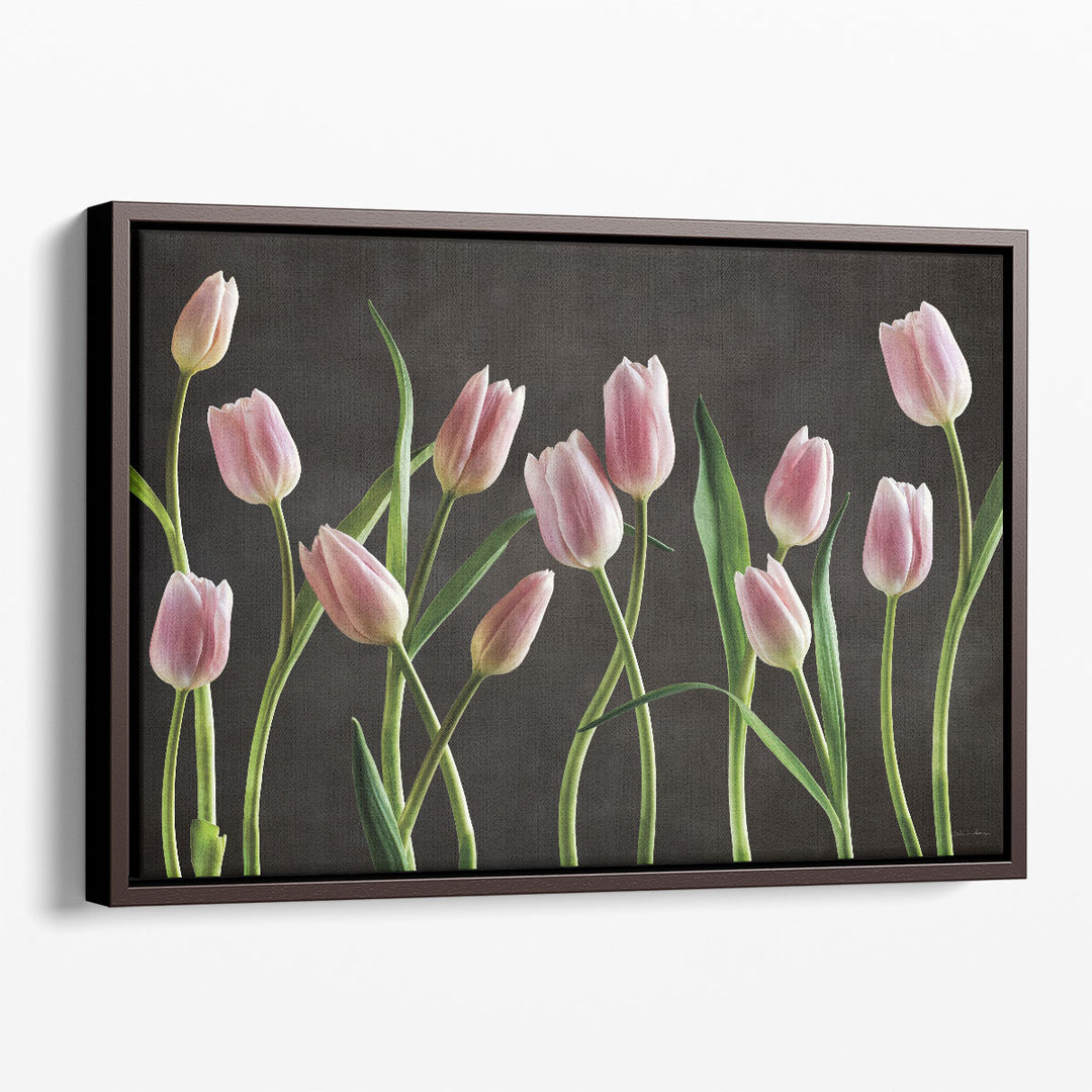 Spring Tulips IX - Canvas Print Wall Art