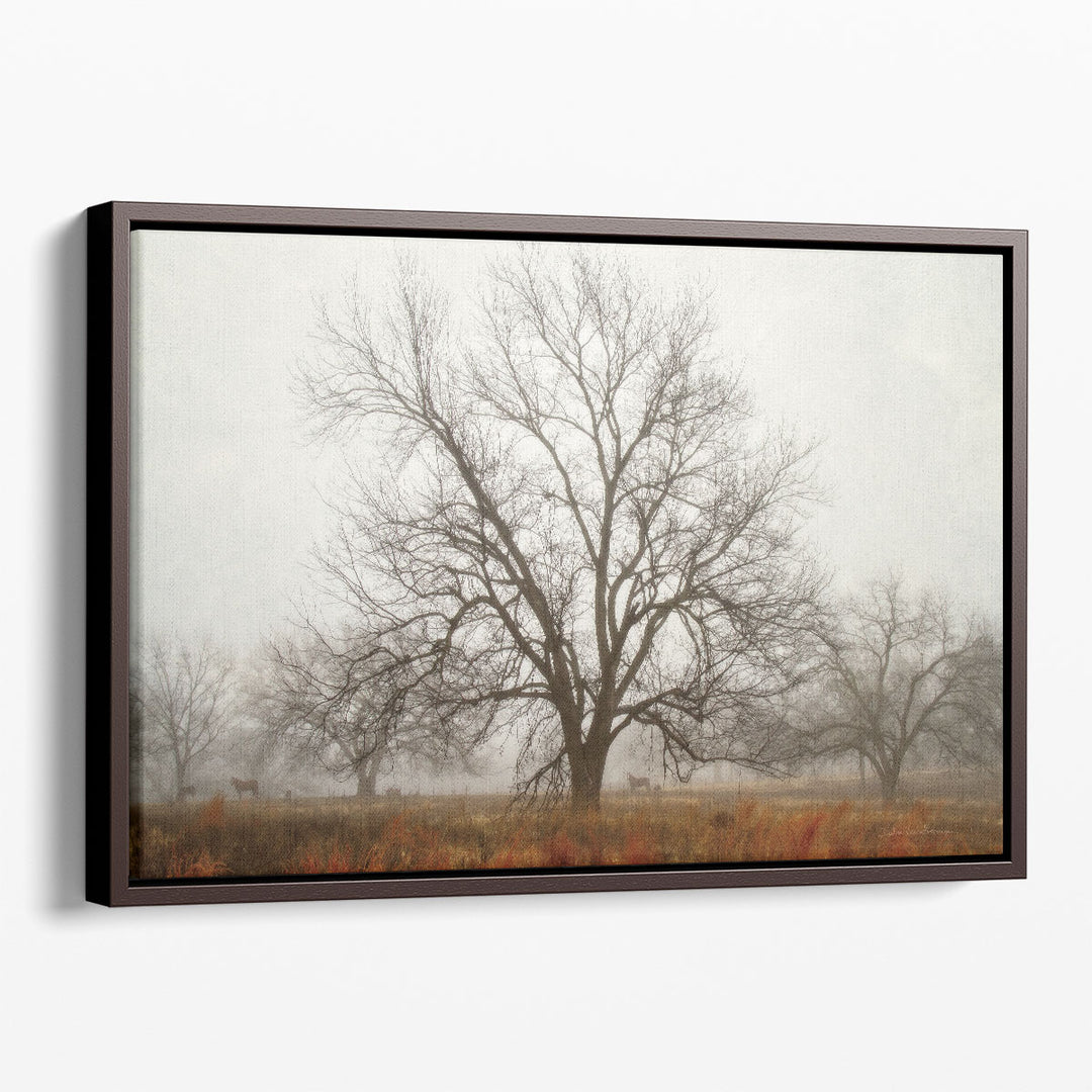 Morning Calm I - Canvas Print Wall Art