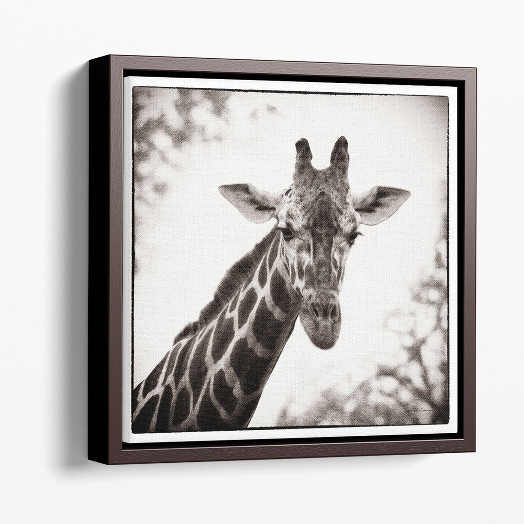 Giraffe I - Canvas Print Wall Art