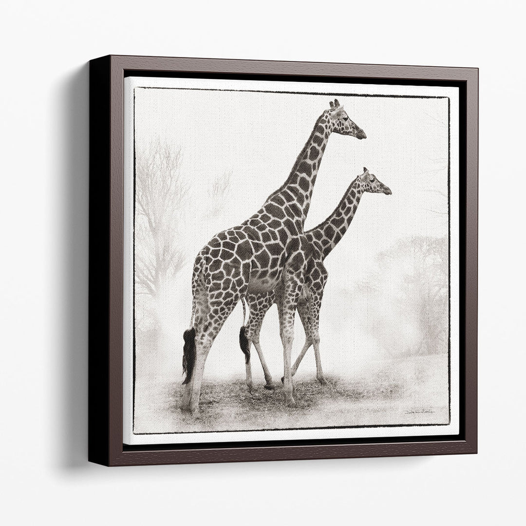 Giraffe II - Canvas Print Wall Art