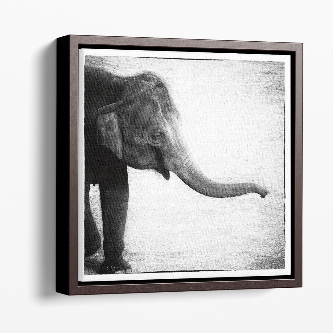 Elephant II Black and White - Canvas Print Wall Art