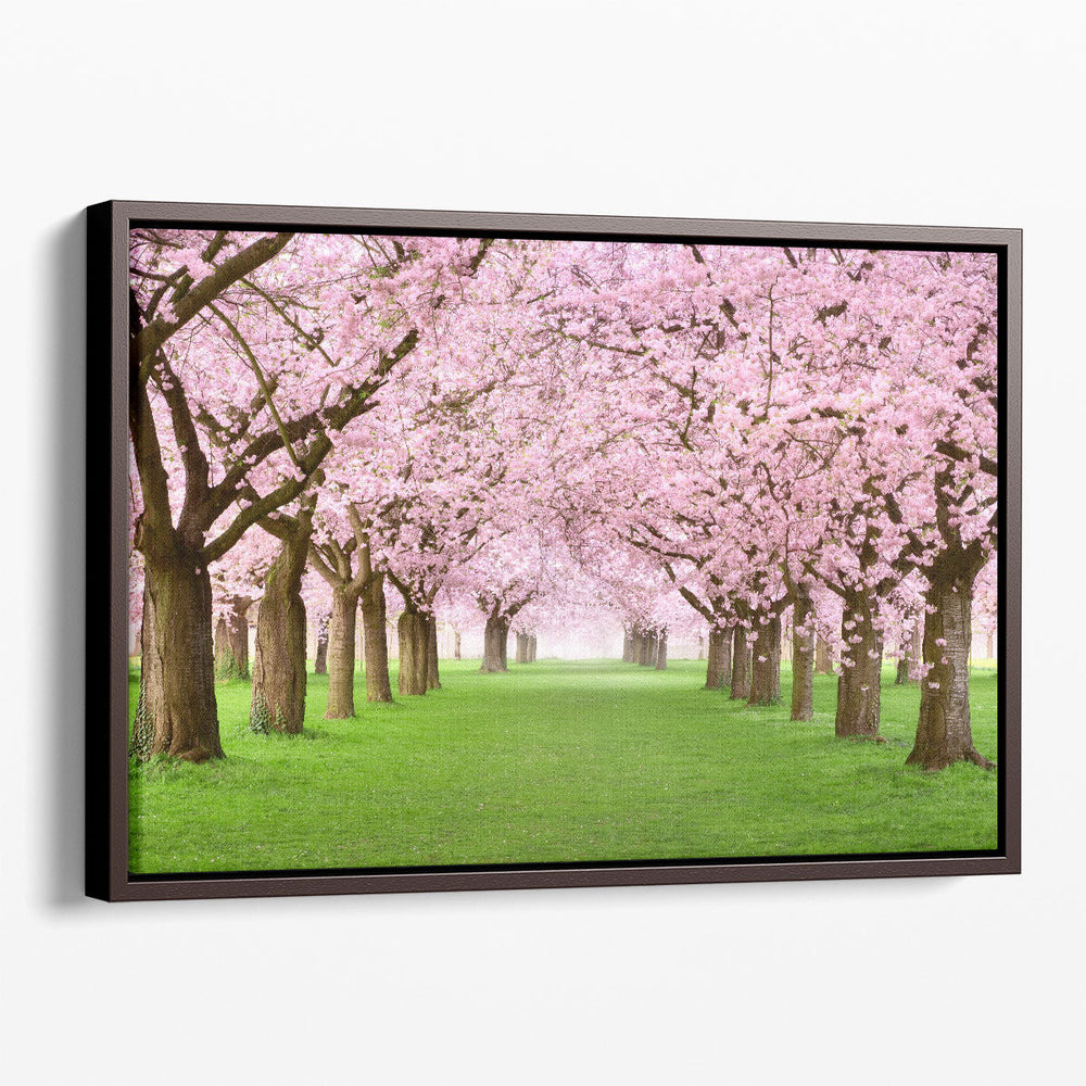 Ornamental Garden With Blossoming Cherry Trees - Canvas Print Wall Art