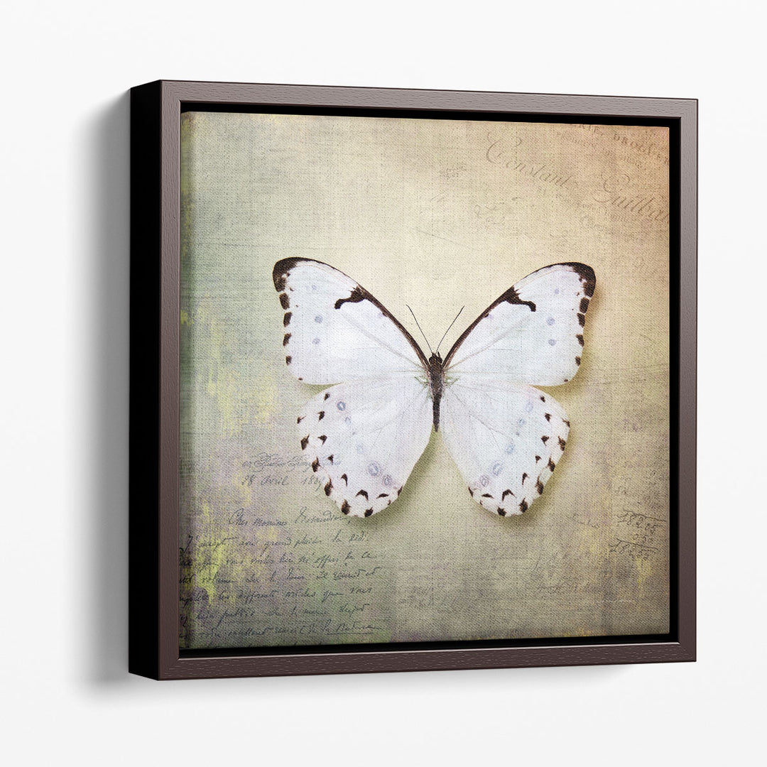 French Butterfly II - Canvas Print Wall Art