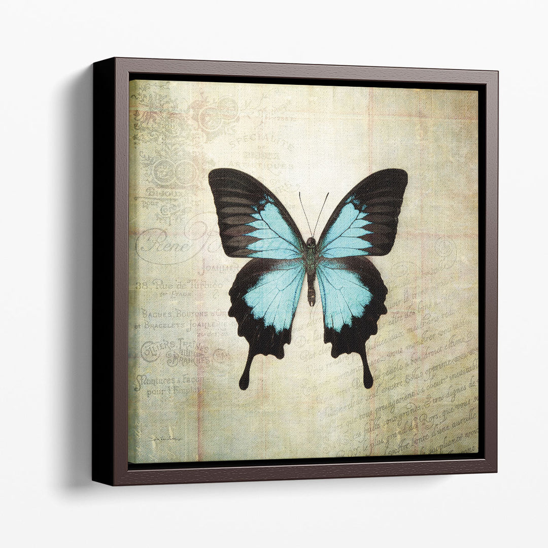 French Butterfly III - Canvas Print Wall Art