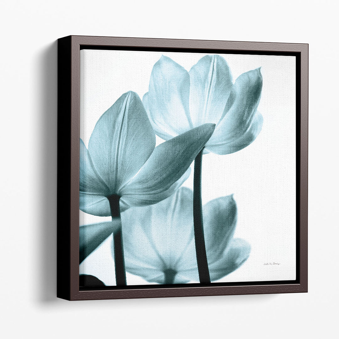 Translucent Tulips III Aqua - Canvas Print Wall Art