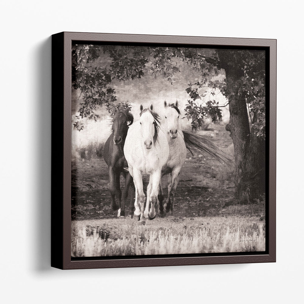 Three Wild Horses Sepia - Canvas Print Wall Art