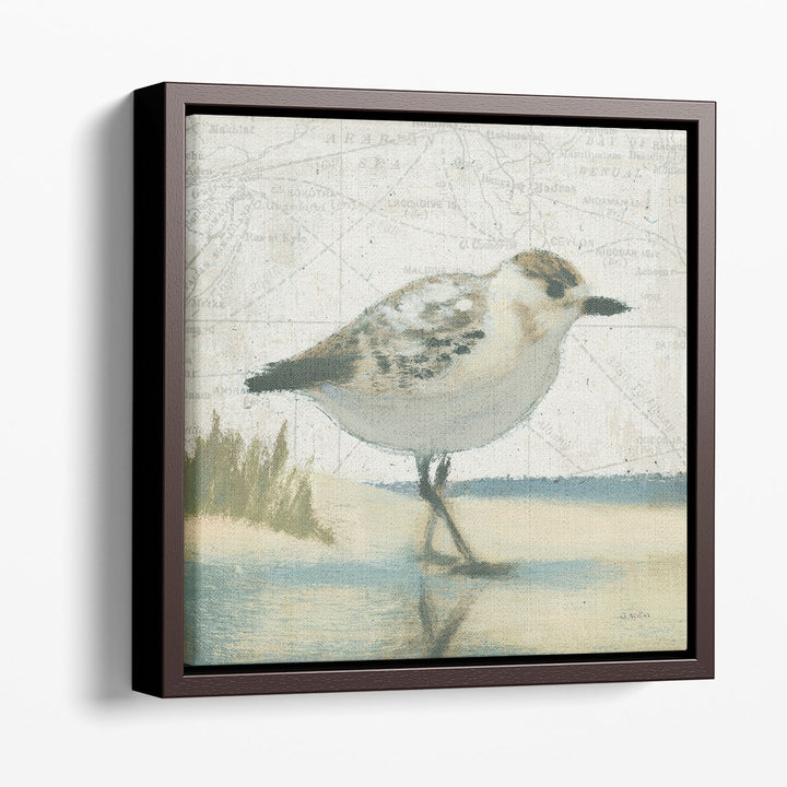 Beach Bird I- Canvas Print Wall Art