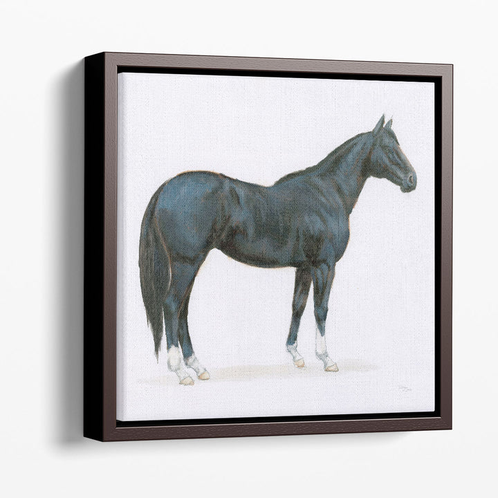 Black Horse - Canvas Print Wall Art