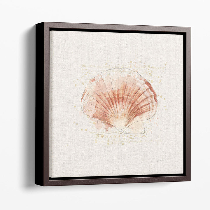 Shell Collector IV - Canvas Print Wall Art