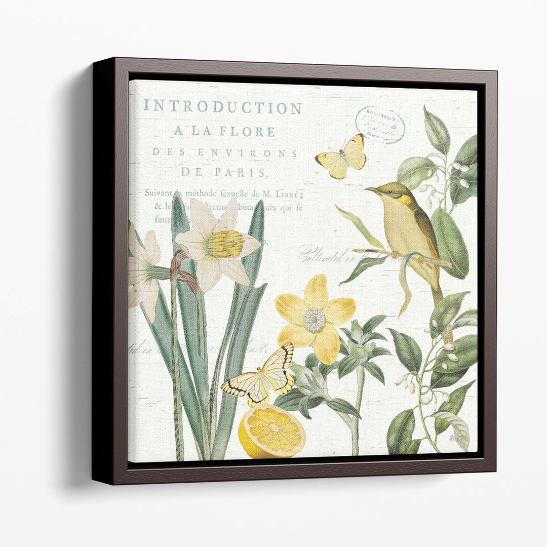 Citron Curiosities III - Canvas Print Wall Art