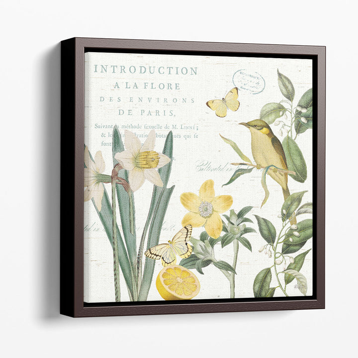 Citron Curiosities III - Canvas Print Wall Art