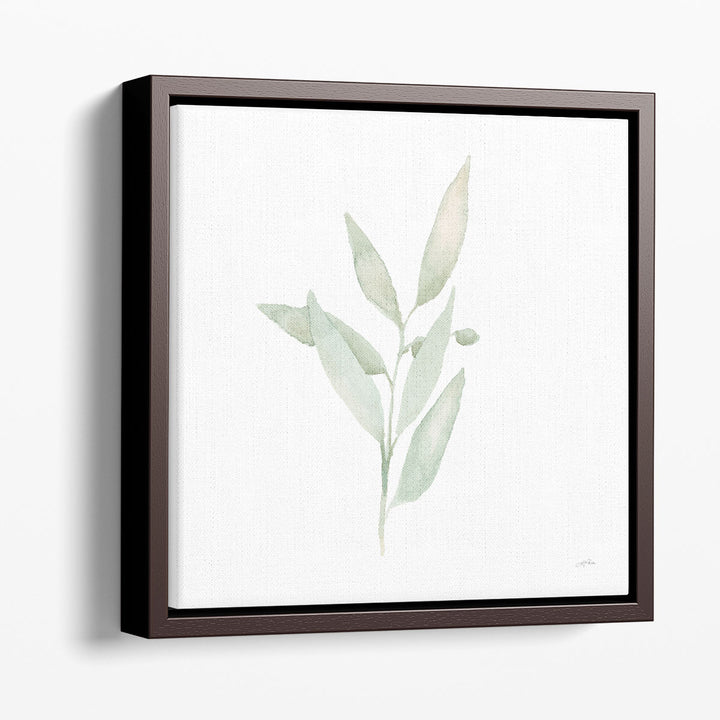 Sage II - Canvas Print Wall Art