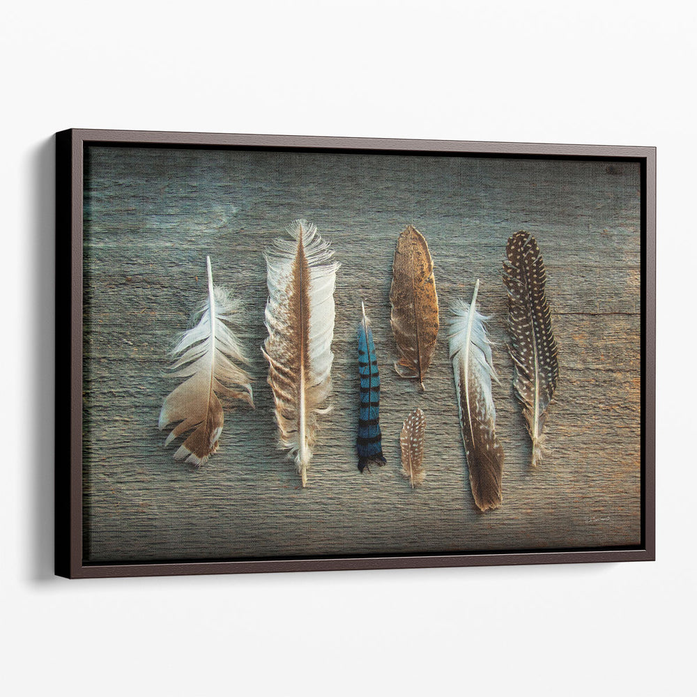 Feather Collection I - Canvas Print Wall Art