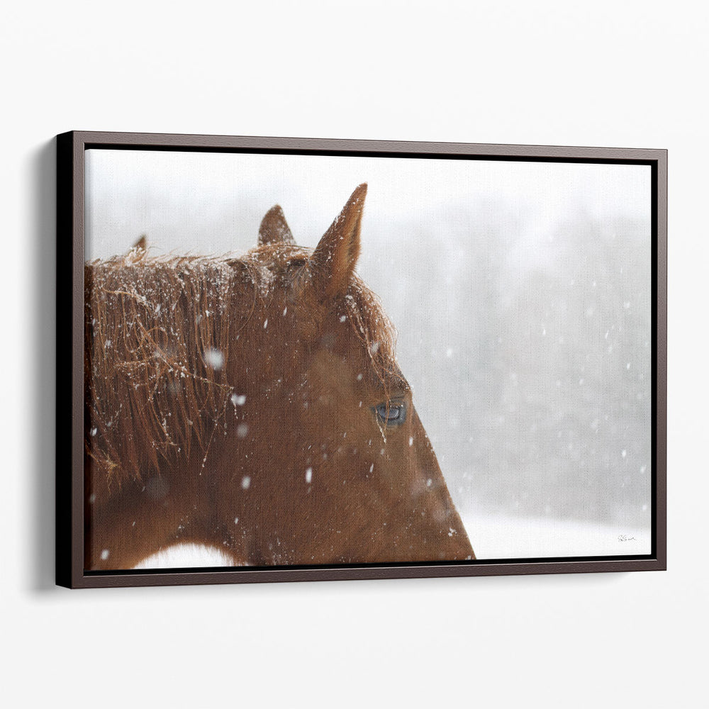 Snowy Caleb - Canvas Print Wall Art