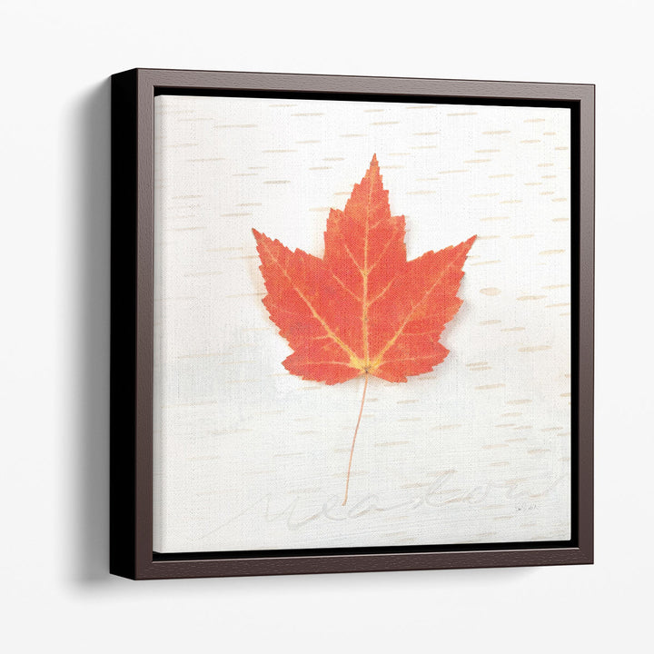 Autumn Colors I - Canvas Print Wall Art