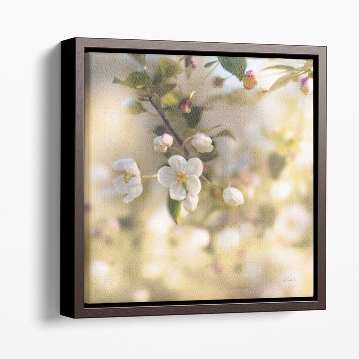 Blush Blossoms I - Canvas Print Wall Art