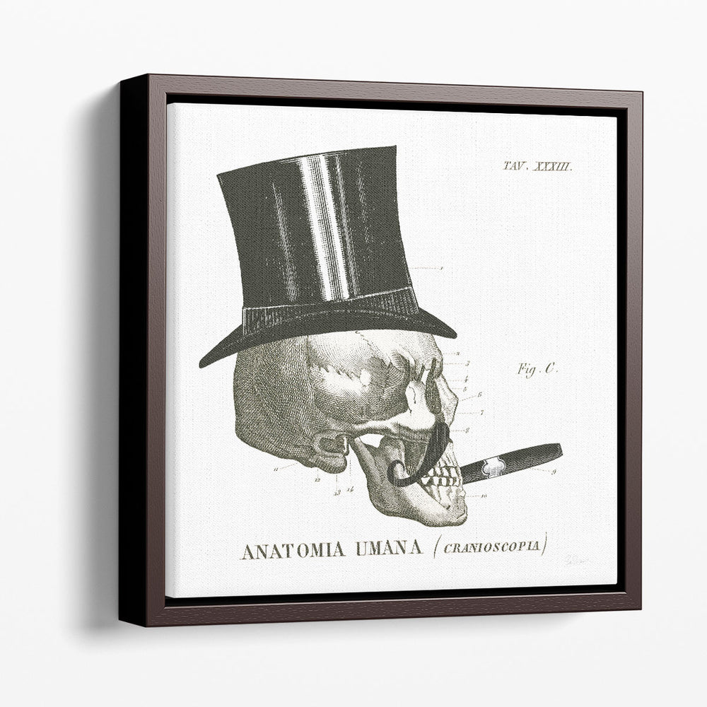 Dandy Bones III Black and White - Canvas Print Wall Art