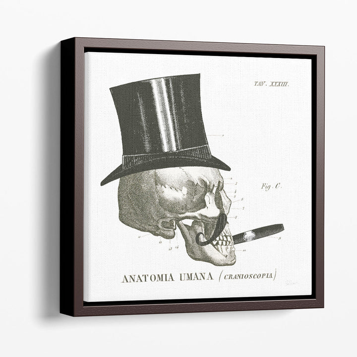 Dandy Bones III Black and White - Canvas Print Wall Art