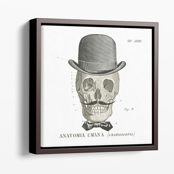 Dandy Bones IV Black and White - Canvas Print Wall Art