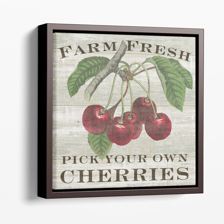 Farm Fresh Cherries - Canvas Print Wall Art