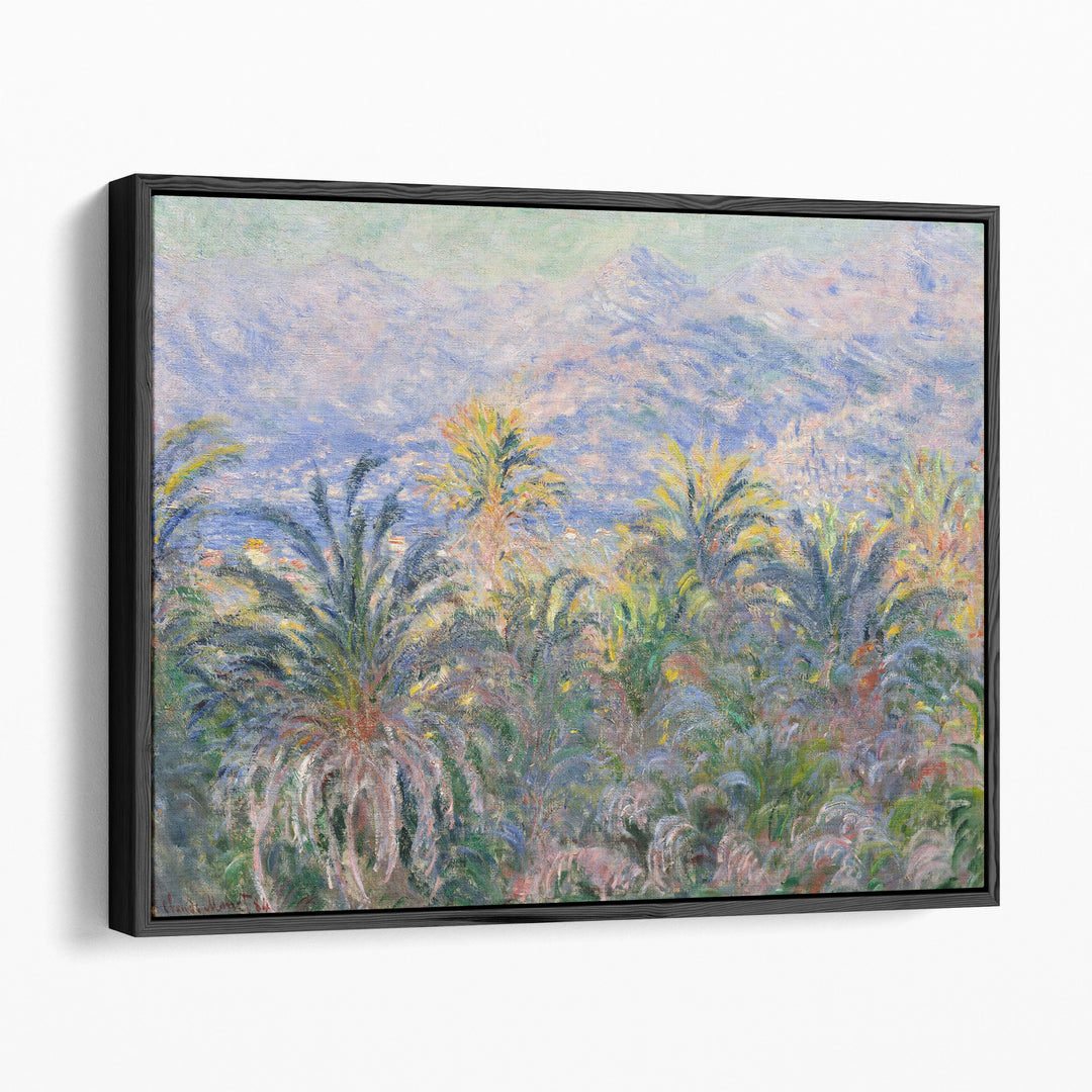 Palm Trees at Bordighera, 1884 - Canvas Print Wall Art