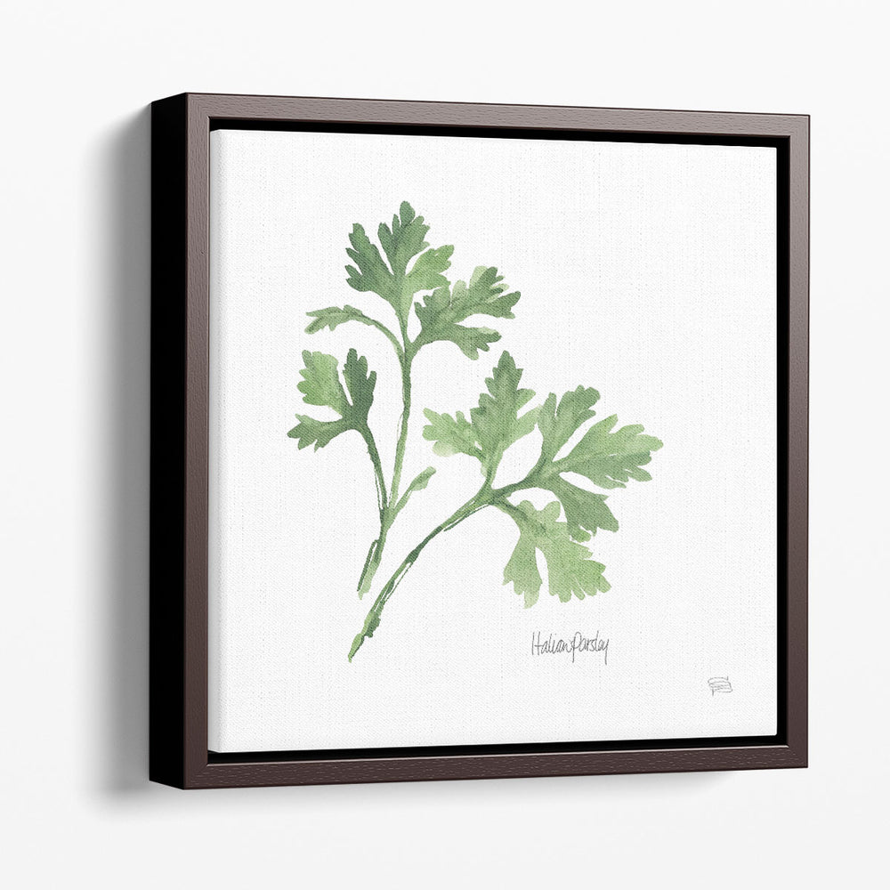 Italian Parsley - Canvas Print Wall Art