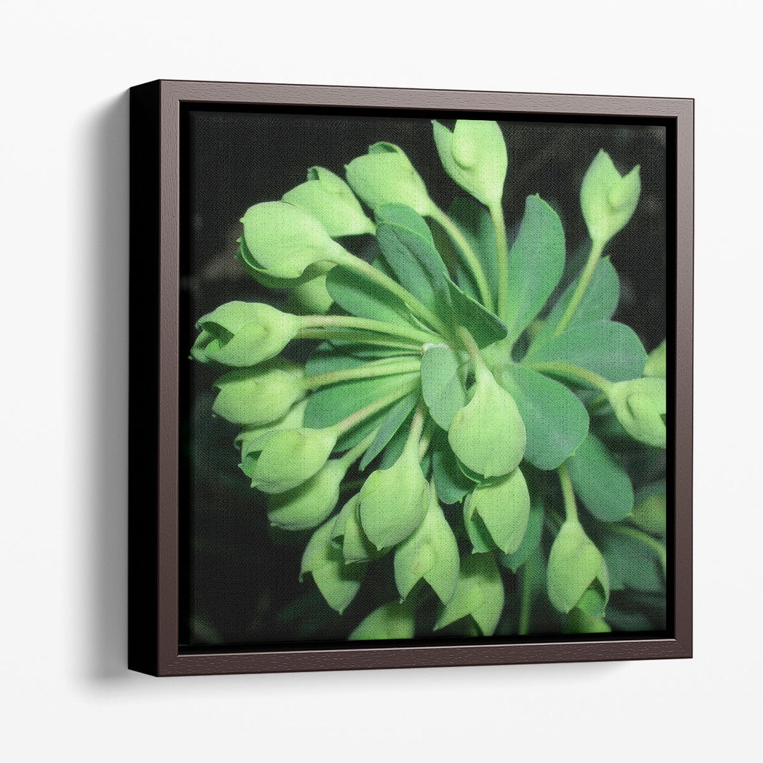 Succulence I - Canvas Print Wall Art