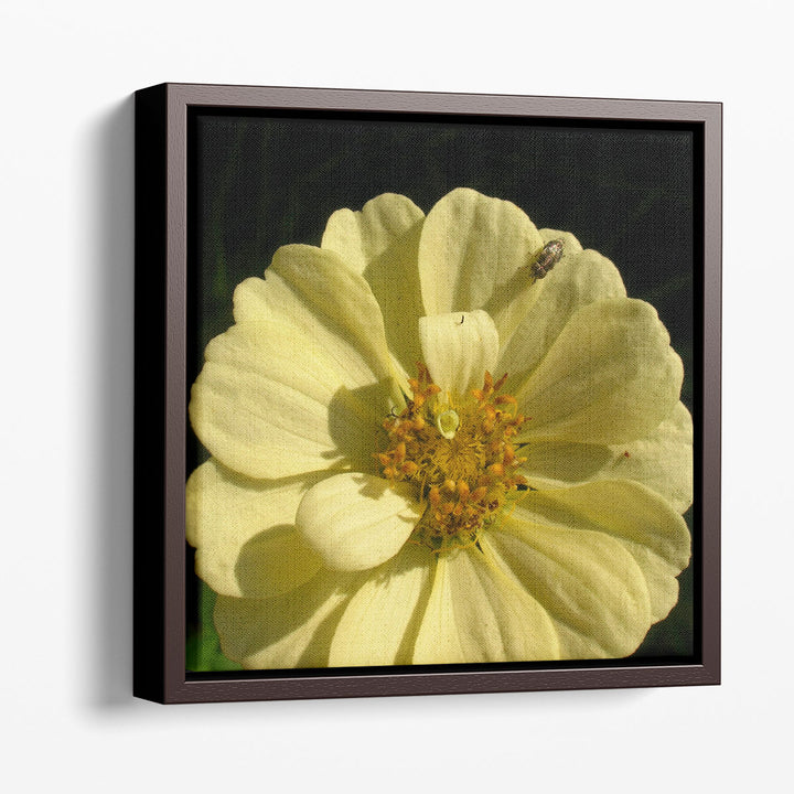 Summer Evening I - Canvas Print Wall Art