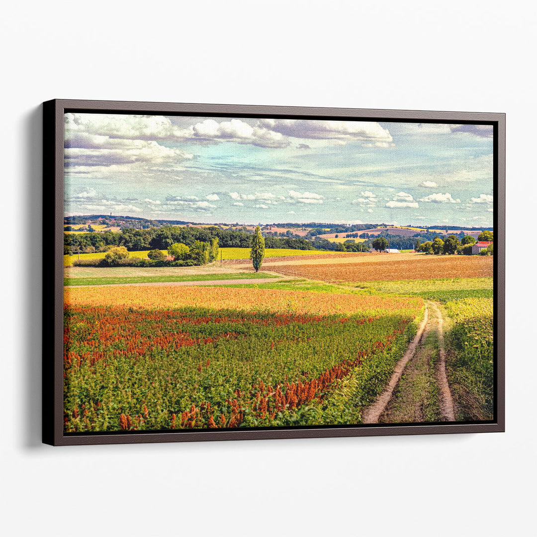 Back Road From Francescas - Canvas Print Wall Art